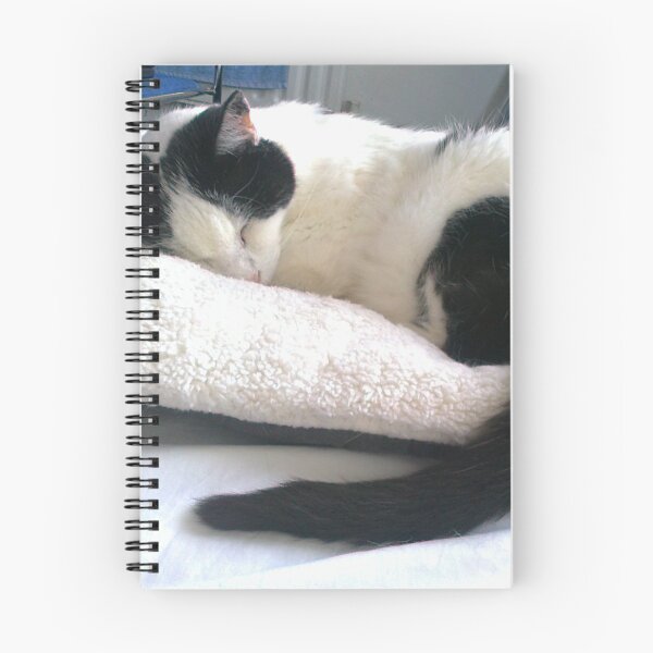 Item preview, #300 |☼| Cat Nappin' - Bradley: Shot 2 (Cats) designed and sold by Naean H.F. (Nez Man).