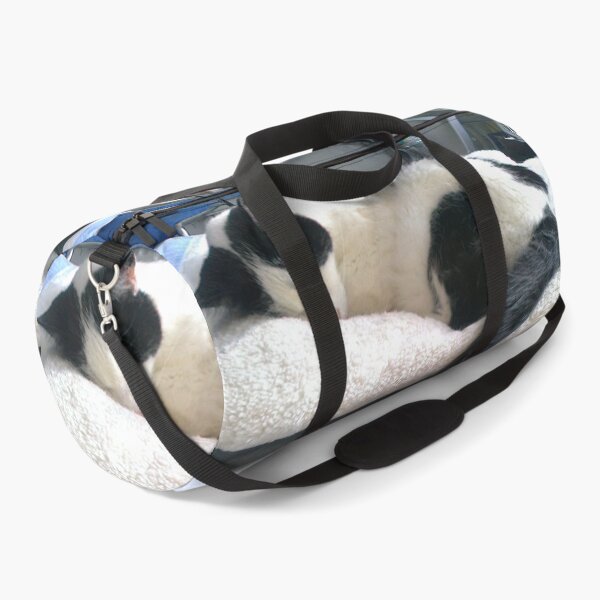 Item preview, #300 |☼| Cat Nappin' - Bradley: Shot 2 (Cats) designed and sold by Naean H.F. (Nez Man).