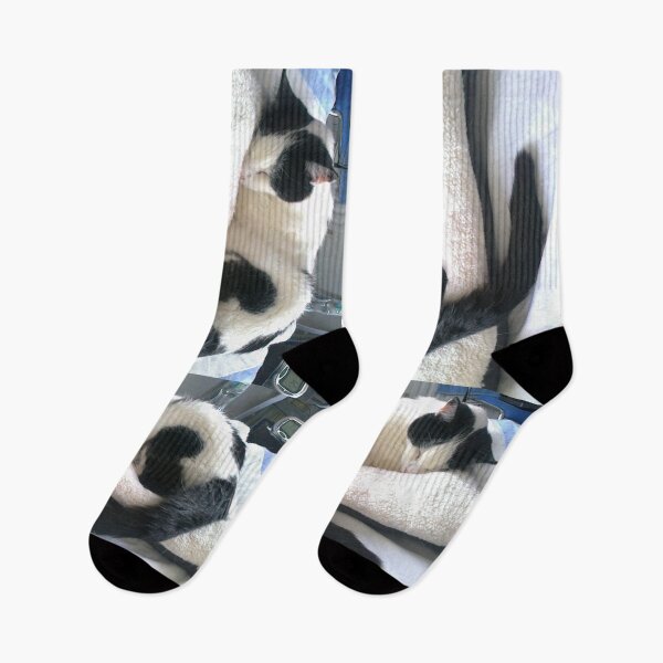 Item preview, #300 |☼| Cat Nappin' - Bradley: Shot 2 (Cats) designed and sold by Naean H.F. (Nez Man).