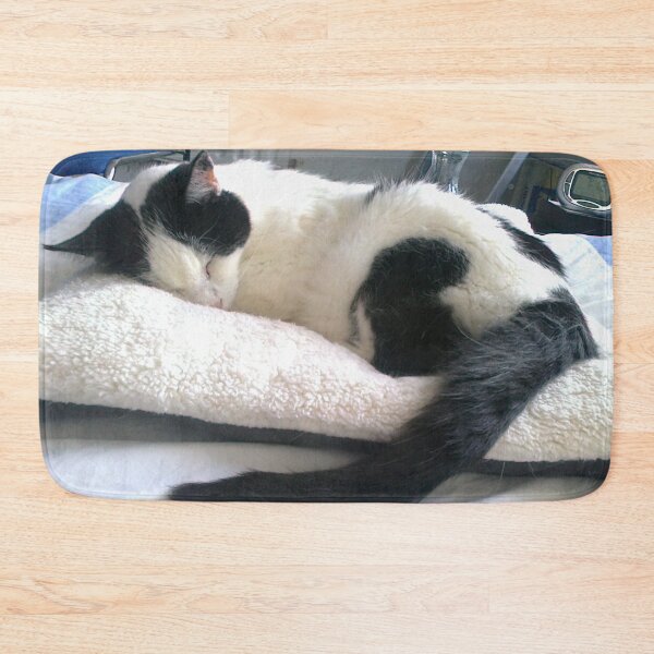 Item preview, #300 |☼| Cat Nappin' - Bradley: Shot 2 (Cats) designed and sold by Naean H.F. (Nez Man).
