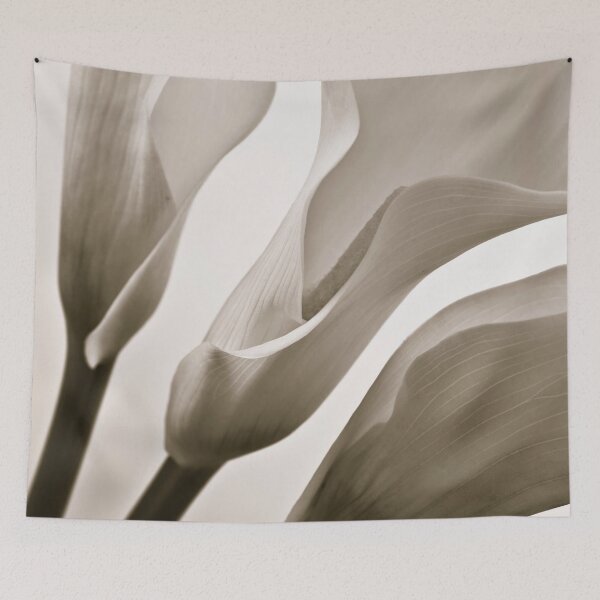 Item preview, Three Calla Lilies designed and sold by assaf.