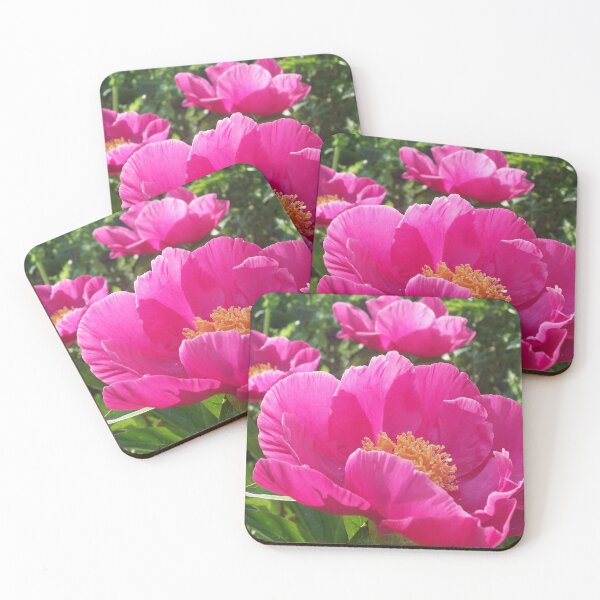 Item preview, Plant of Merit designed and sold by OnigiriSuiko.