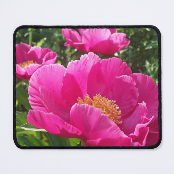 Item preview, Plant of Merit designed and sold by OnigiriSuiko.