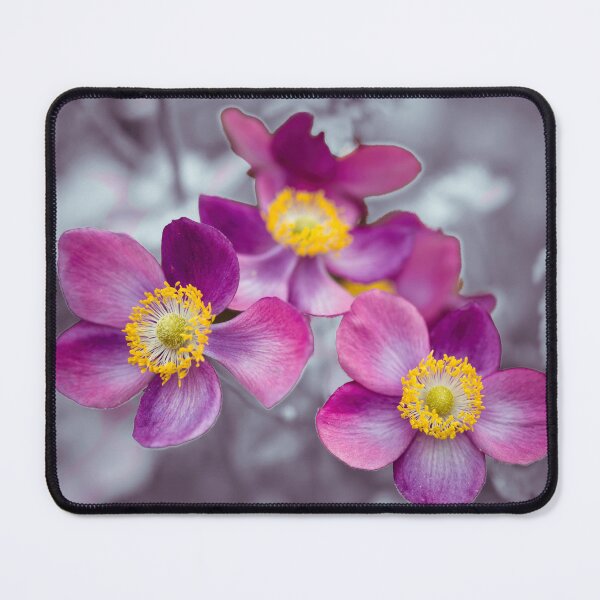 Item preview, Anemone Flowers designed and sold by assaf.