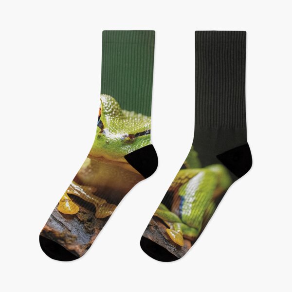 Item preview, Croak and Chorus: The Language of Frogs designed and sold by Brendon987.