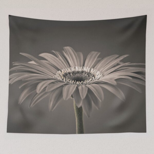Item preview, Gerbera Flower designed and sold by assaf.