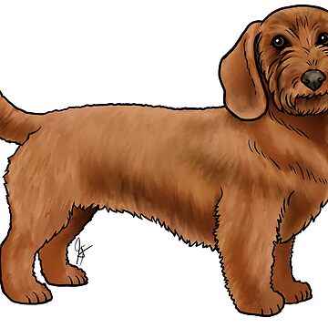 Sticker for Sale avec l'œuvre « Basset Fauve de Bretagne Wheaten