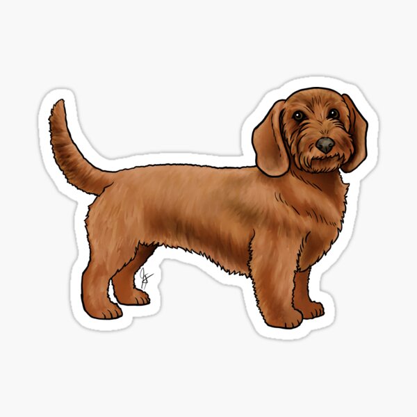 Item preview, Basset Fauve de Bretagne - Red Wheaten designed and sold by Jennifer Stolzer.