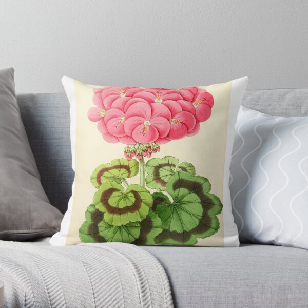 Andrews, James (1801-1876) - The Floral Magazine 1869 - Geranium Miss Martin Throw Pillow
