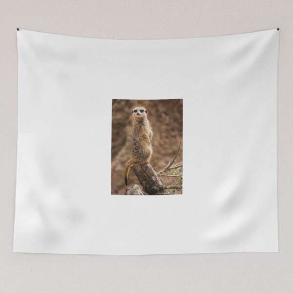 Item preview, meerkat designed and sold by Dave Tucker.