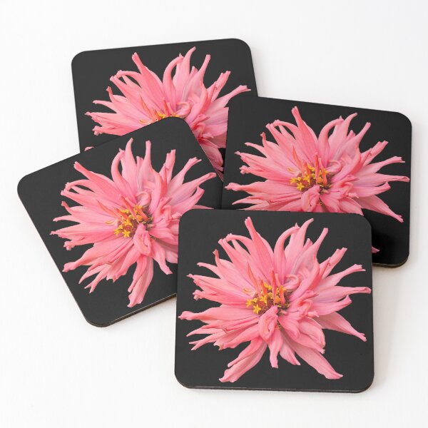 Item preview, Field Guide to Zinnias, No. 26, Pink Senorita  Zinnia Flower designed and sold by Kristi Duggins.