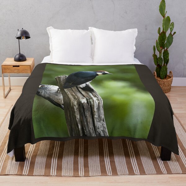 Item preview, Acorn Woodpeckers Throw Pillow designed and sold by dprmuzrwnkc15.