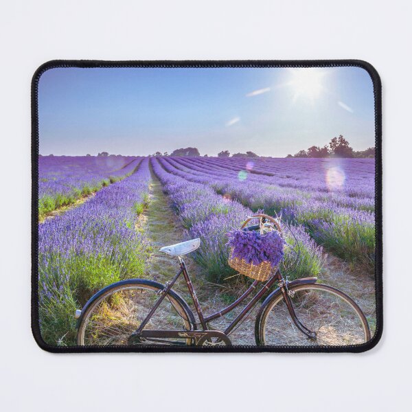 Item preview, Bicycle in a Lavender field designed and sold by assaf.
