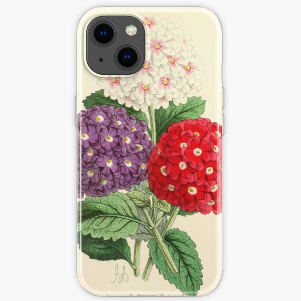 Andrews, James (1801-1876) - The Floral Magazine 1869 - Verbenas iPhone Soft Case
