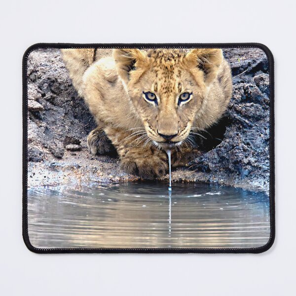 Item preview, I See You....Twice designed and sold by Michael Moss Photography.