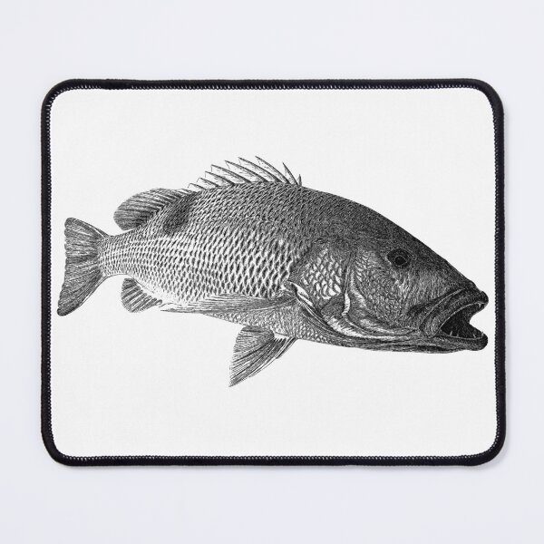 Item preview, Golden Snapper designed and sold by Paul Kyriakides.