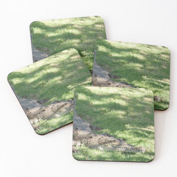 Item preview, American crocodile (Crocodylus acutus) in Florida, USA designed and sold by SDym Photography.