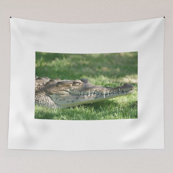 Item preview, American crocodile (Crocodylus acutus) in Florida, USA designed and sold by SDym Photography.