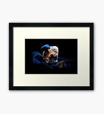 Genesis Framed Print