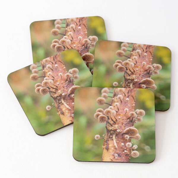 Item preview, Mushrooms  designed and sold by Ecodream.