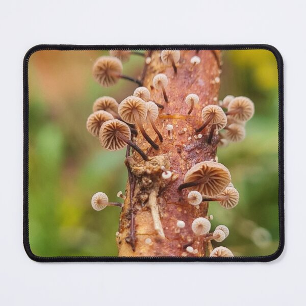 Item preview, Mushrooms  designed and sold by Ecodream.