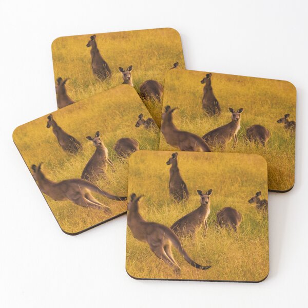 Item preview, Kangaroos in Australia designed and sold by Samuel Gates.