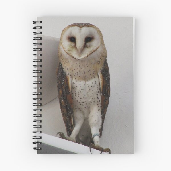 Item preview, Barn Owl (Tyto alba) designed and sold by lezvee.