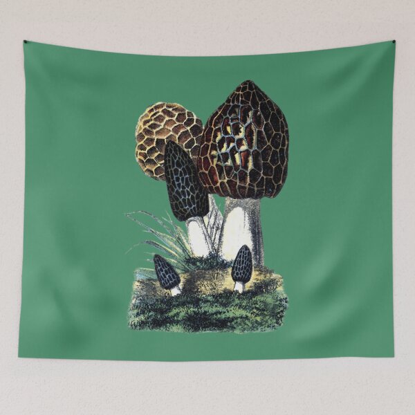 Item preview, antique typographic vintage mushrooms toadstools 	 	 designed and sold by cfaltnylkme68.