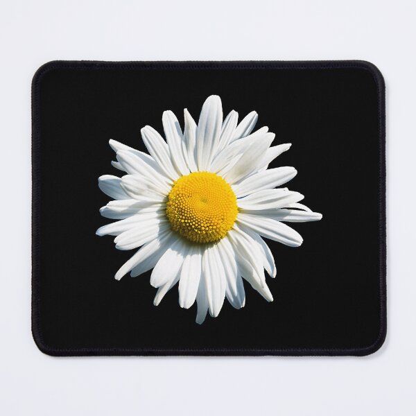 Item preview, Daisy . designed and sold by Alt36DGstore.