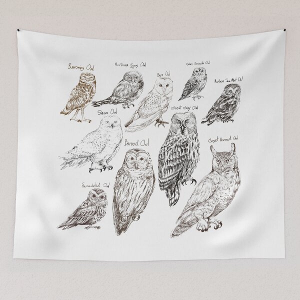 Item preview, All the Hoots designed and sold by chillaxcats.