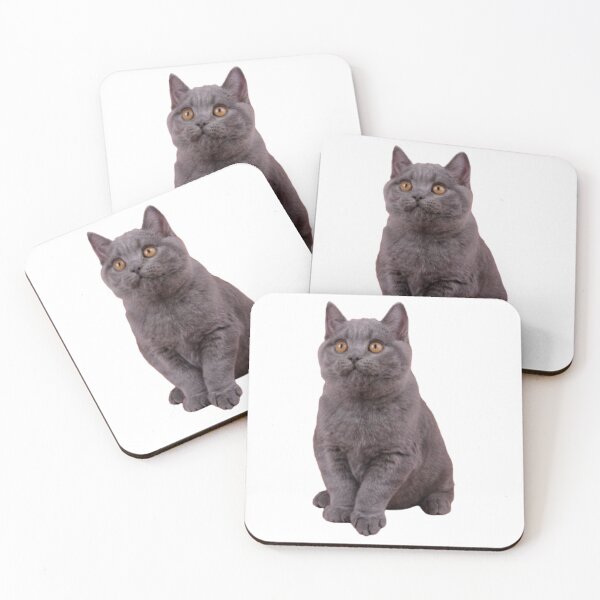 Item preview, Pretty Cat Funny Style Grey designed and sold by arzibeob45.