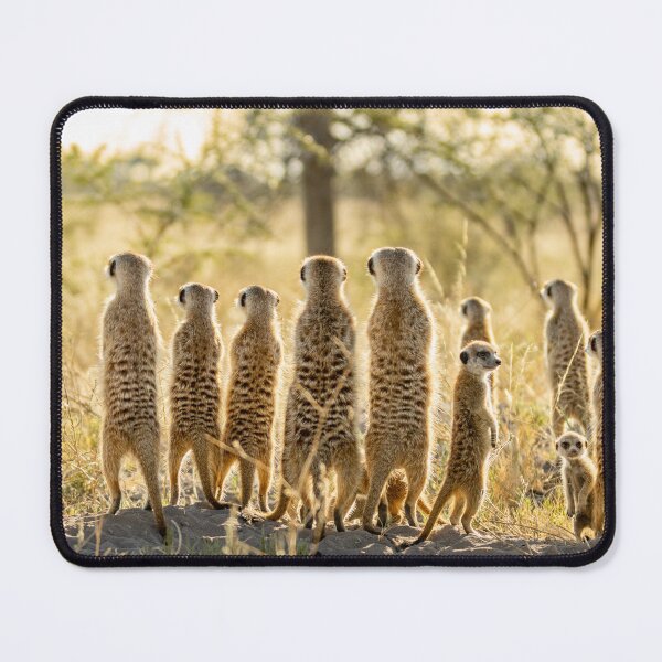 Item preview, Meerkat Sentry Duty designed and sold by Alison Lee Rubie.
