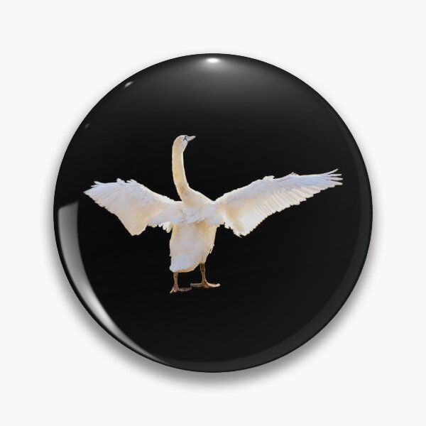 Item preview, Swan with open wings, of course, golden hour designed and sold by CreaVisArt.