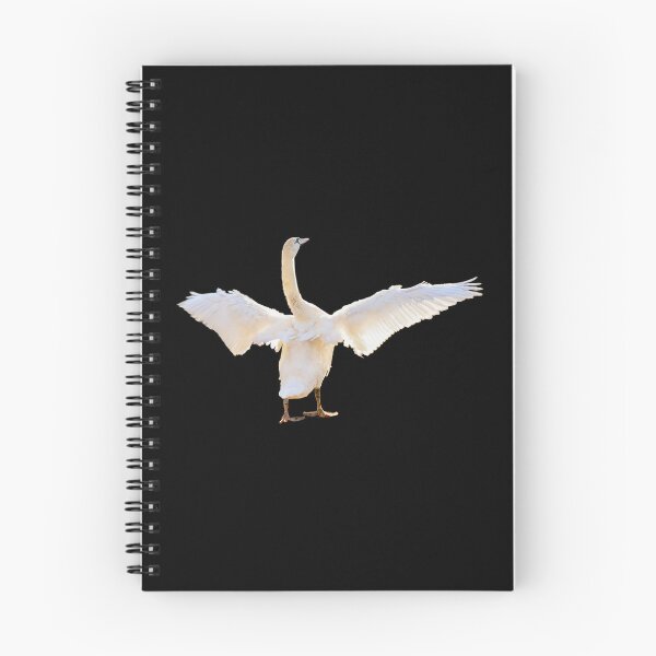 Item preview, Swan with open wings, of course, golden hour designed and sold by CreaVisArt.