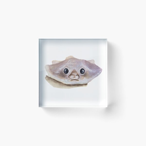 Item preview, Deep Sea Batfish watercolour painting designed and sold by Funsize-Art.