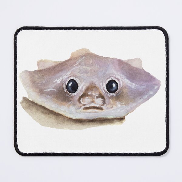 Item preview, Deep Sea Batfish watercolour painting designed and sold by Funsize-Art.
