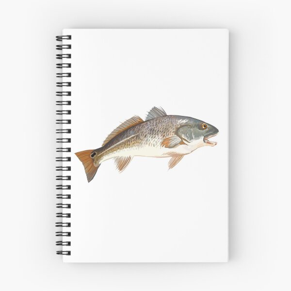 Item preview, Redfish designed and sold by blueshore.