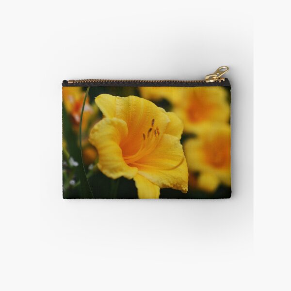 Item preview, Hemerocallis 'Stella d'Oro'  Daylilies designed and sold by WayneOxfordPh.