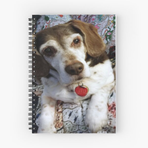 Item preview, Begging Beagle on Visionary Artworks  designed and sold by chelleray.