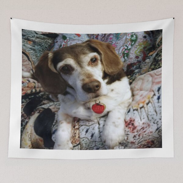 Item preview, Begging Beagle on Visionary Artworks  designed and sold by chelleray.