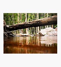 Florence Falls Photographic Print