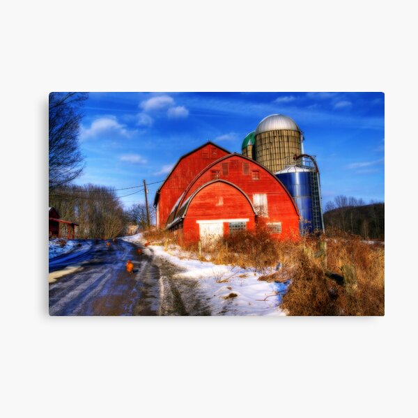 Why Did The Chicken Cross The Road Half Way? Canvas Print