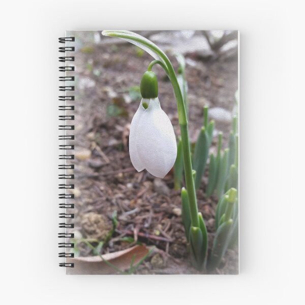 Item preview, Snowdrop in February designed and sold by feiermar.