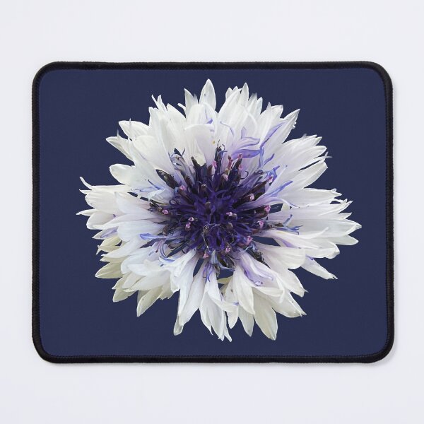 Item preview, Cottage Core White Cornflower designed and sold by suekieper.