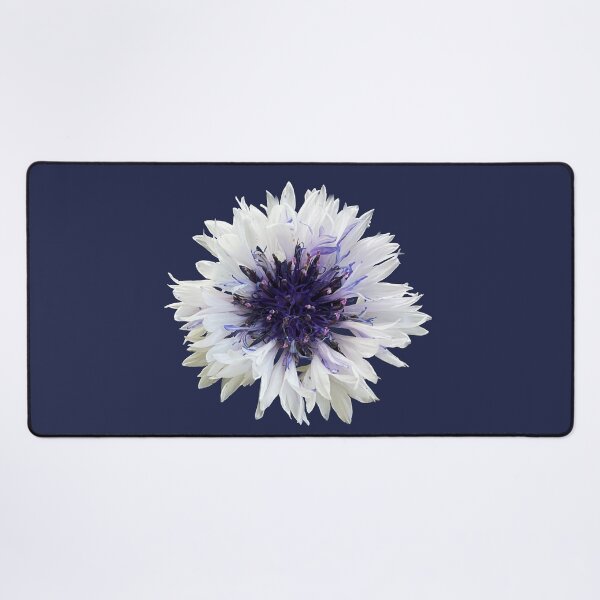 Item preview, Cottage Core White Cornflower designed and sold by suekieper.