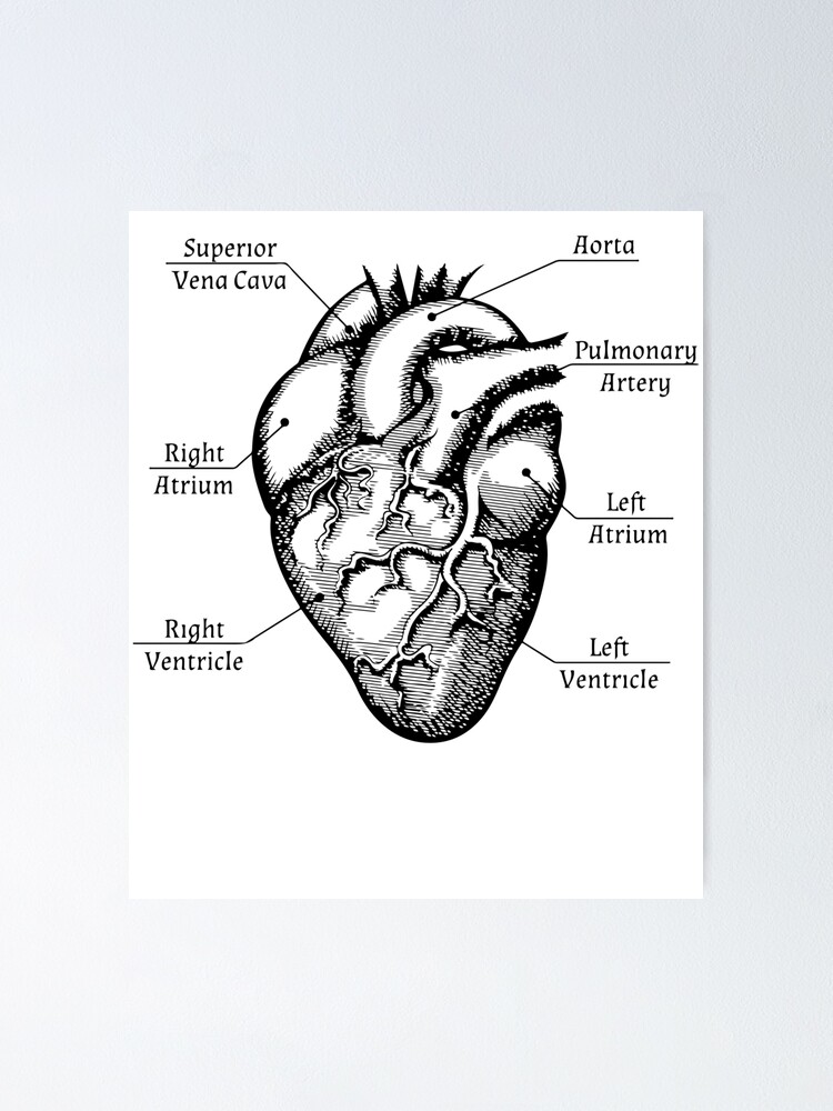 Nurse - I Love Nursing - Anatomy Heart - Nurse - Pin