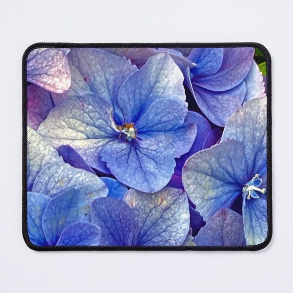 Item preview, Hydrangea close up designed and sold by Susan Gallup.