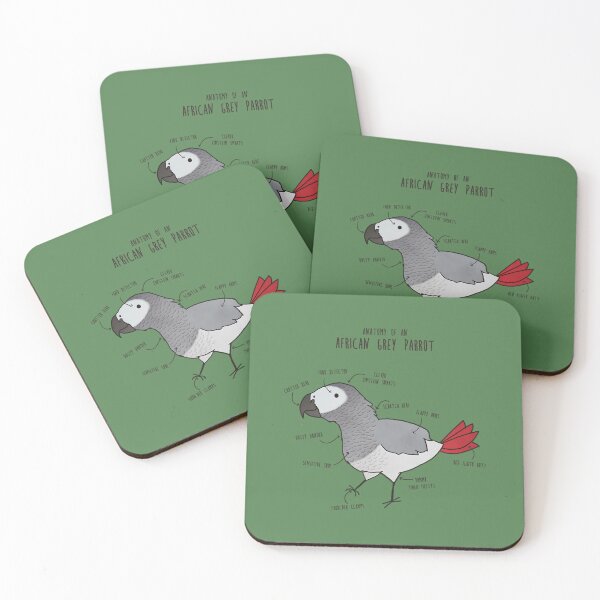 Item preview, Anatomy of an African Grey Parrot   	 designed and sold by licybphzs91.