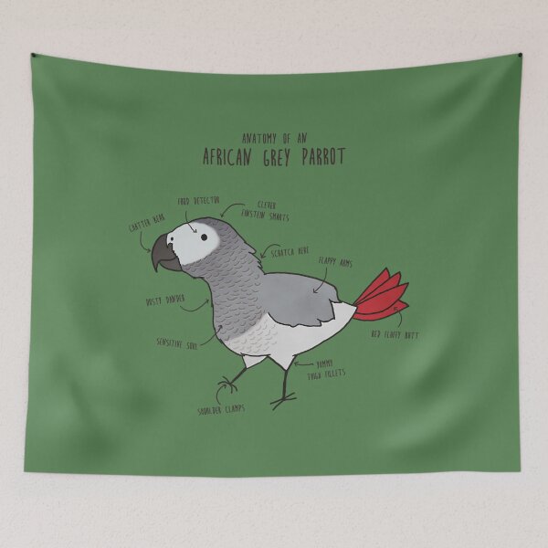 Item preview, Anatomy of an African Grey Parrot   	 designed and sold by licybphzs91.