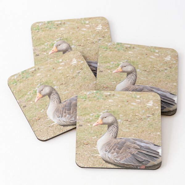 Item preview, Graylag Goose designed and sold by Tanya C  Smith.